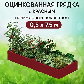 Грядка красная (0,5 х 7,5)