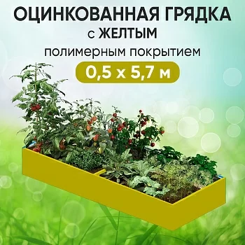 Грядка желтая (0,5 х 5,7)