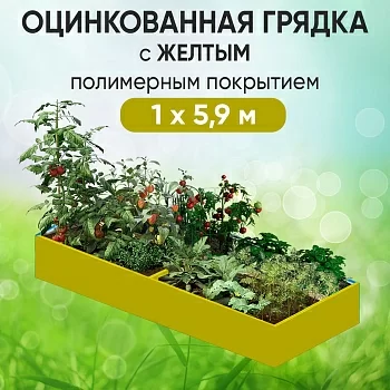 Грядка желтая (1 х 5,9)